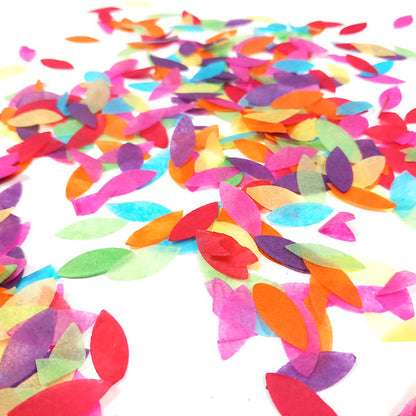 Biodegradable Wedding Confetti -  Rainbow