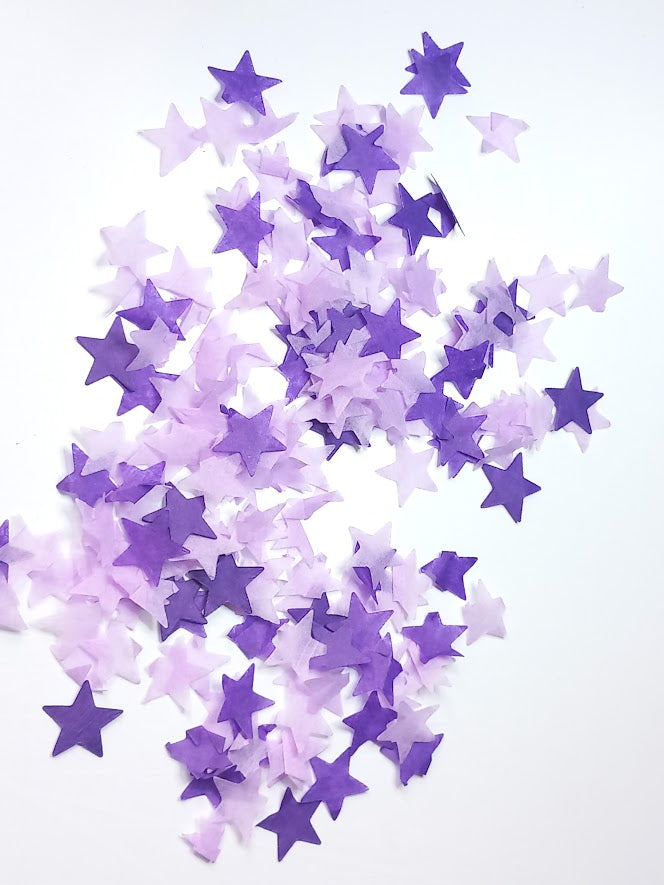 Biodegradable Wedding Confetti -  Lilac and Purple