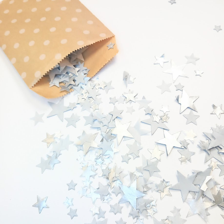 Biodegradable Wedding Confetti - Silver