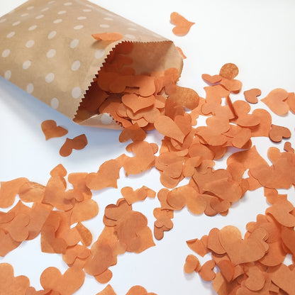 Biodegradable Wedding Confetti -  Burnt Orange