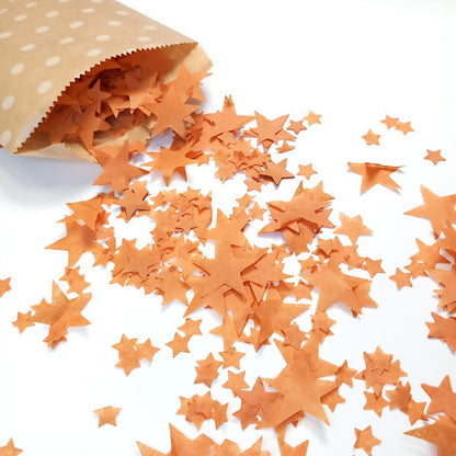 Biodegradable Wedding Confetti -  Burnt Orange