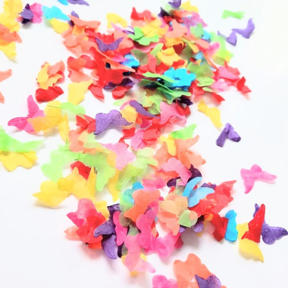 Biodegradable Wedding Confetti -  Rainbow