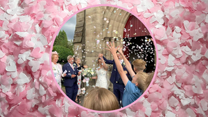 Biodegradable Curved Squares Wedding Confetti - select your own colours