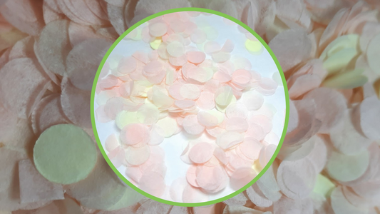 Biodegradable Wedding Confetti -  Blush and Cream