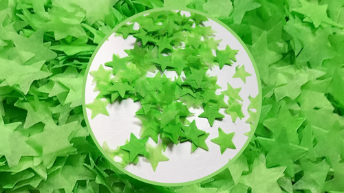 Biodegradable Wedding Confetti - Apple Green